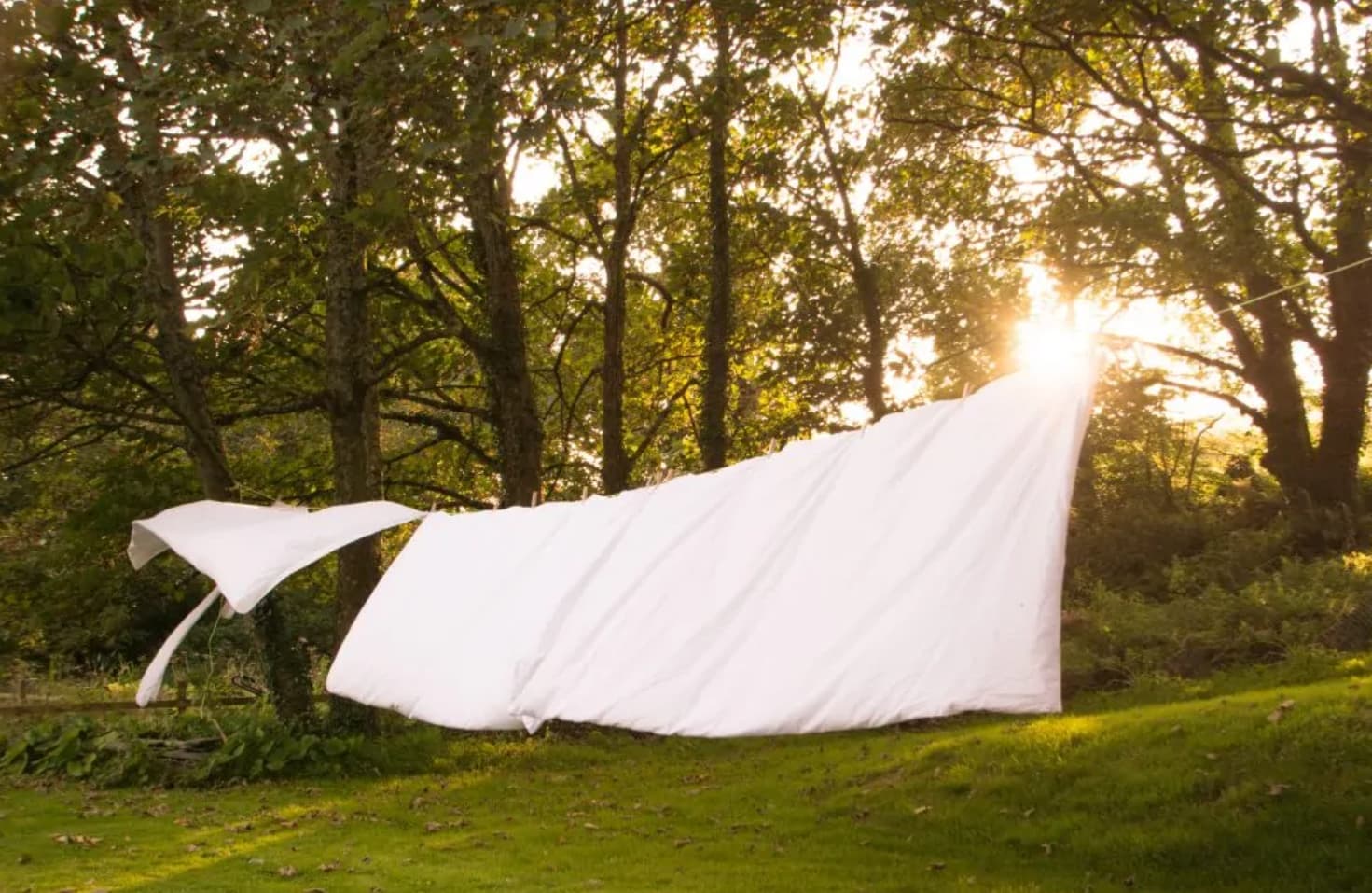 Freshly sun-dried duvet